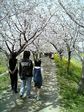080406_120345_M.jpg