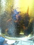 2006.09.13 I蜂酒あっぷ.jpg