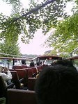 2006.09.22 街路樹.jpg