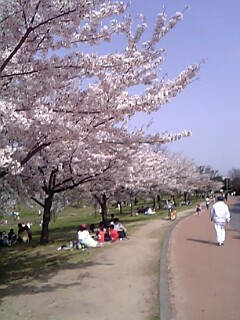 春日公園景色A.jpg