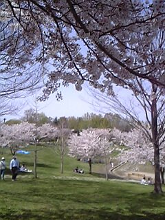 春日公園景色B.jpg